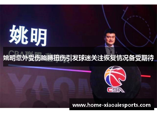 姚明意外受伤胳膊扭伤引发球迷关注恢复情况备受期待